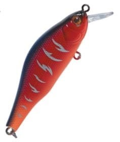 bolw-524941