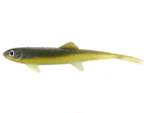 bolw-527547