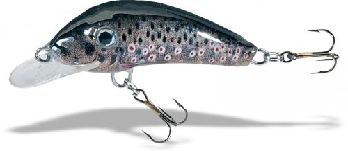 bolw-528370