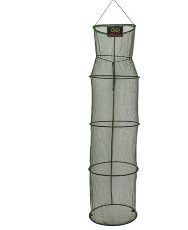 bolw-539038