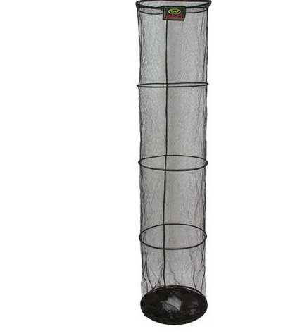 bolw-539052