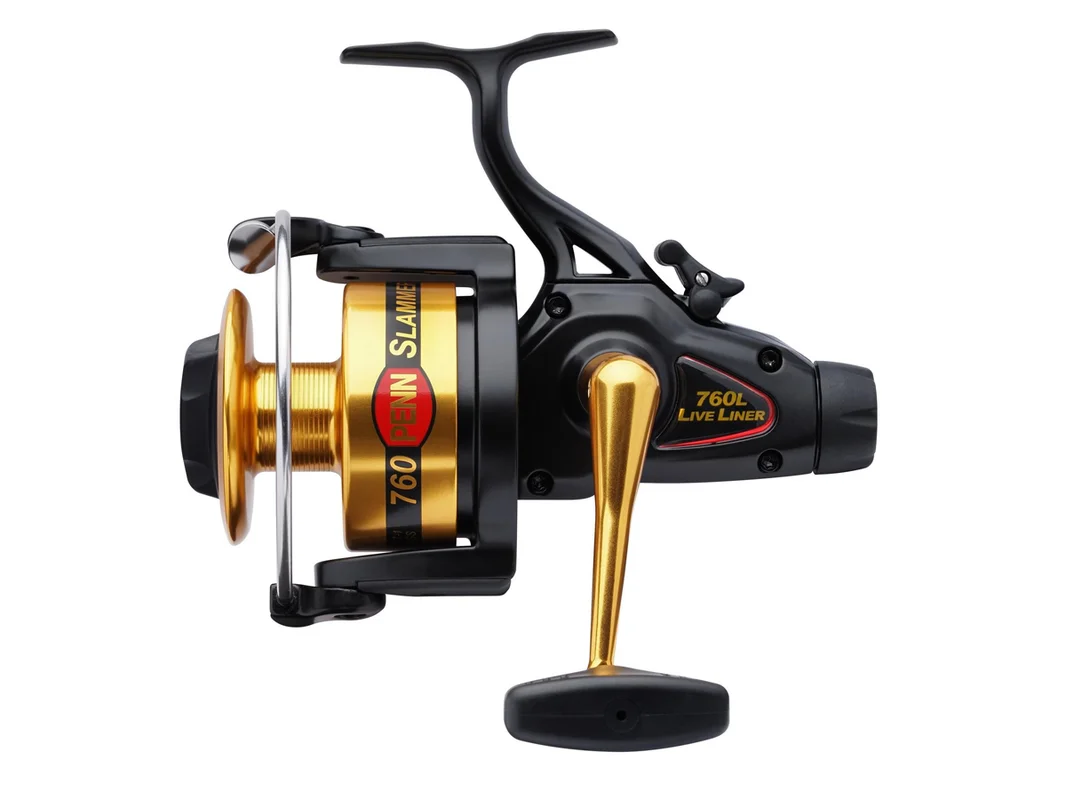 fishing-mart-509119