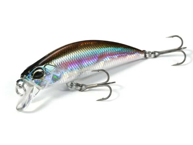 fishing-mart-509372