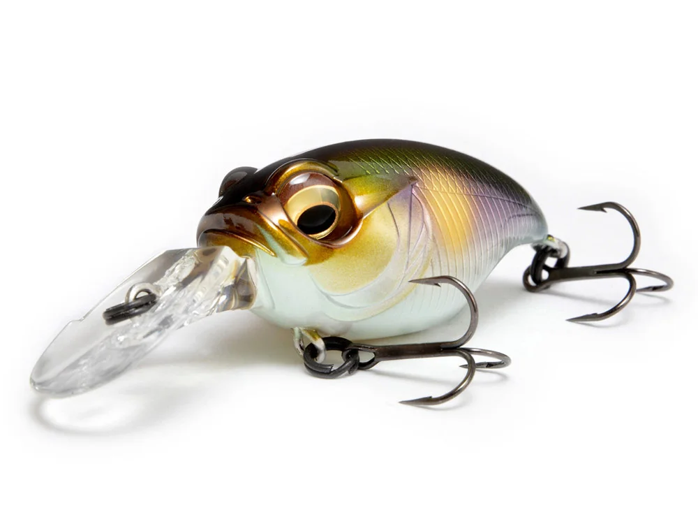 fishing-mart-509392