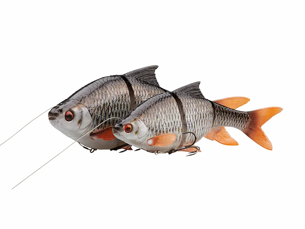 fishing-mart-509406