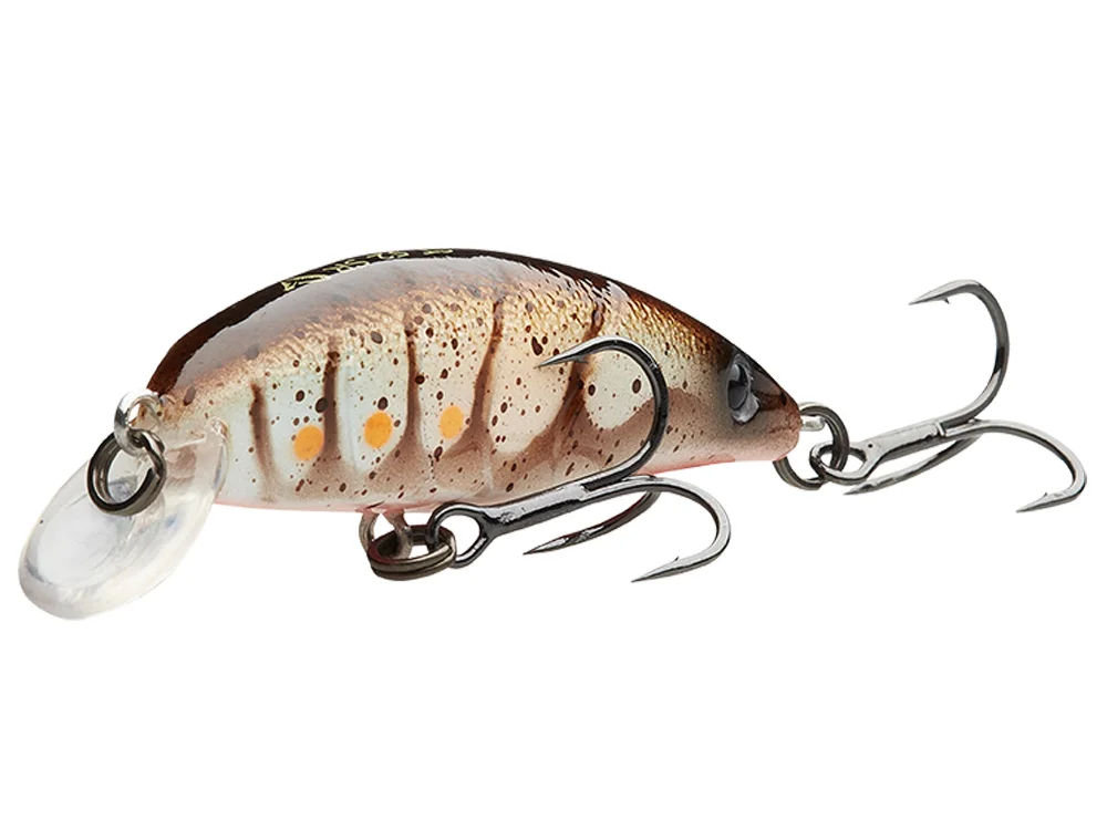 fishing-mart-509407