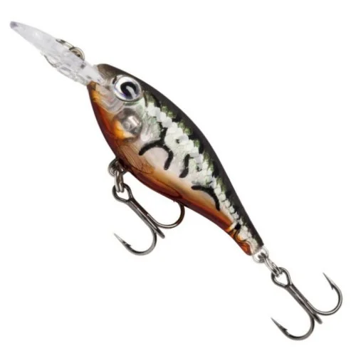 glowatka1-576004
