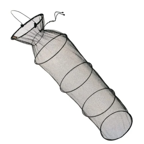 glowatka1-583116