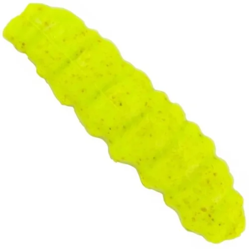 glowatka1-604508