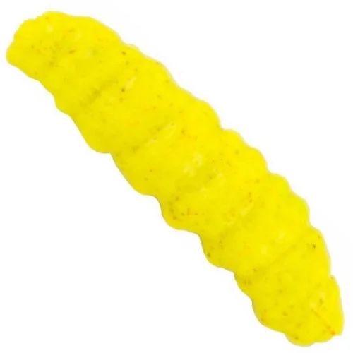 glowatka1-604509