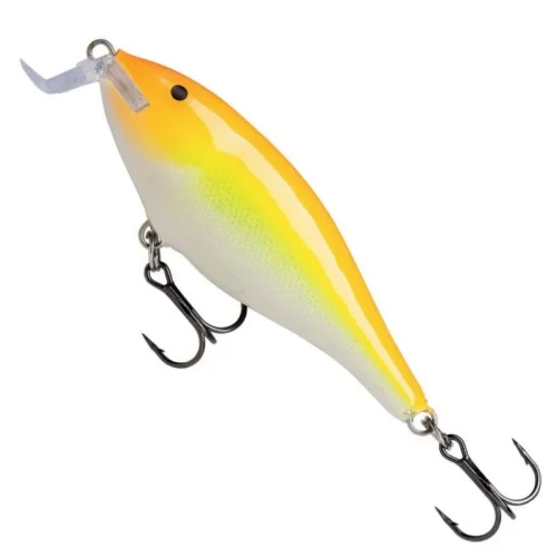 glowatka1-628900