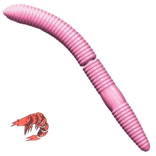 glowatka1-631592