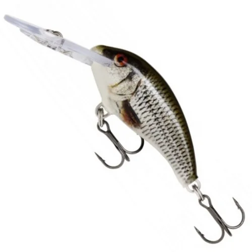 glowatka1-633025