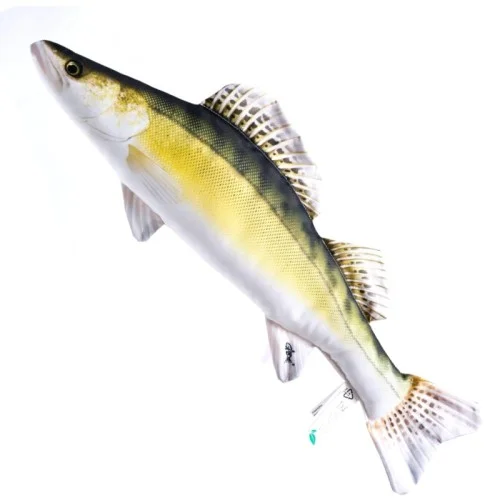 glowatka1-633175