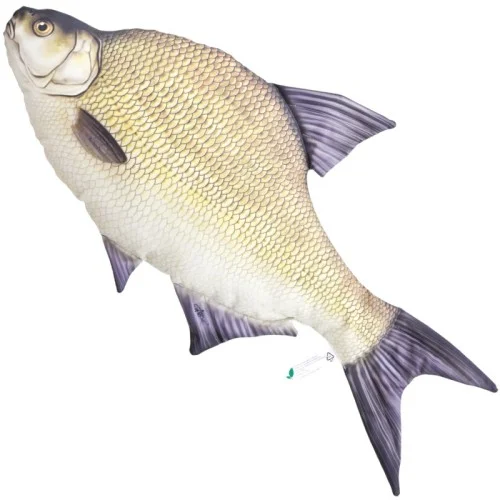 glowatka1-634126