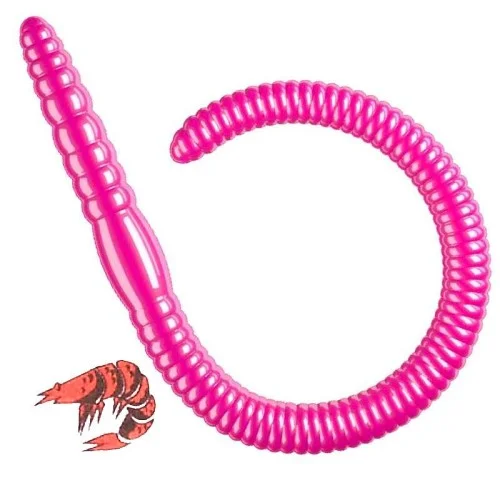 glowatka2-574198