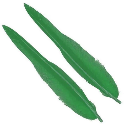 glowatka2-594583