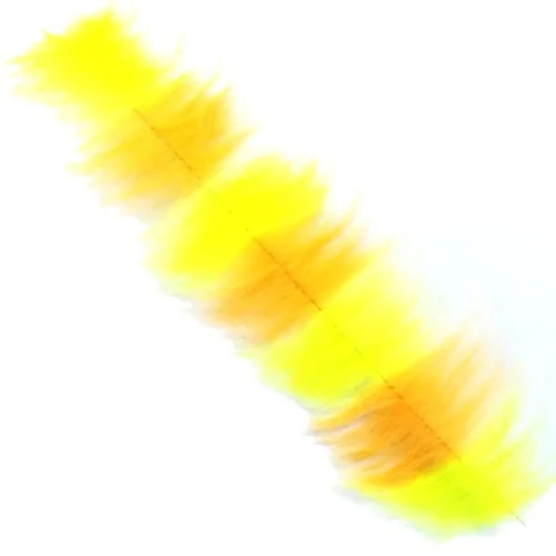 glowatka2-597609