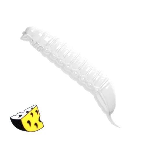 glowatka2-612961