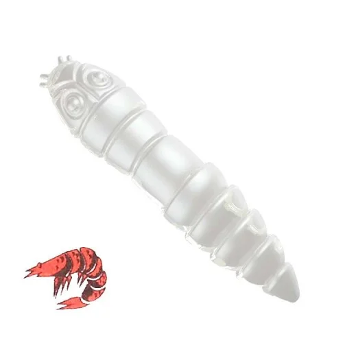 glowatka2-613007