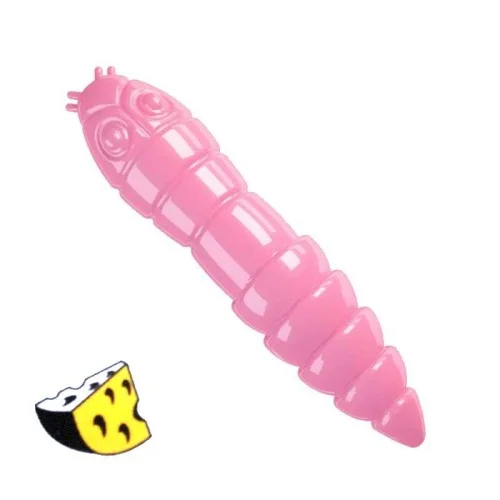 glowatka2-613062