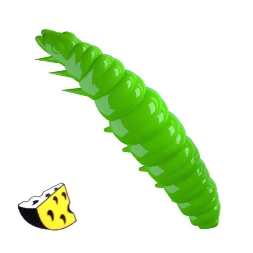 glowatka2-613614