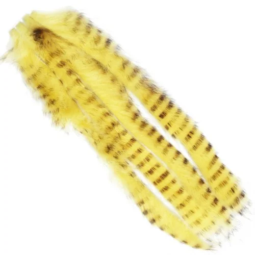 glowatka2-623720