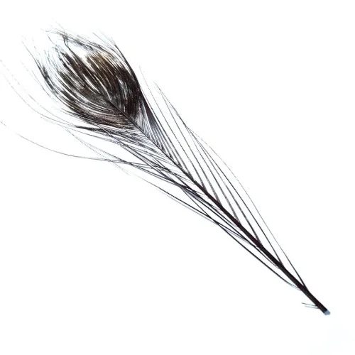 glowatka2-628919