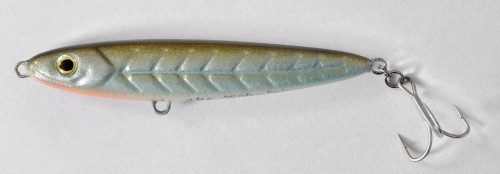 krokodyl1-569693
