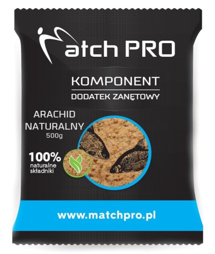 krokodyl1-573239