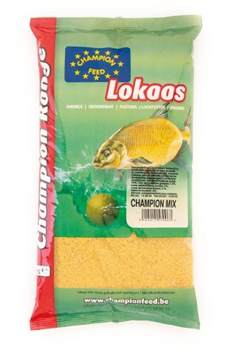 krokodyl1-574253