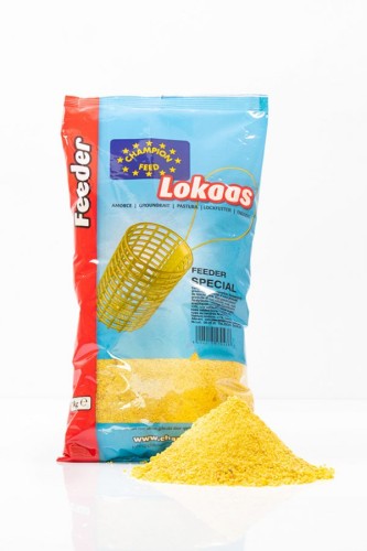 krokodyl1-574261