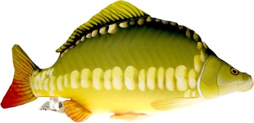 krokodyl1-577937