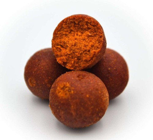 krokodyl1-577984