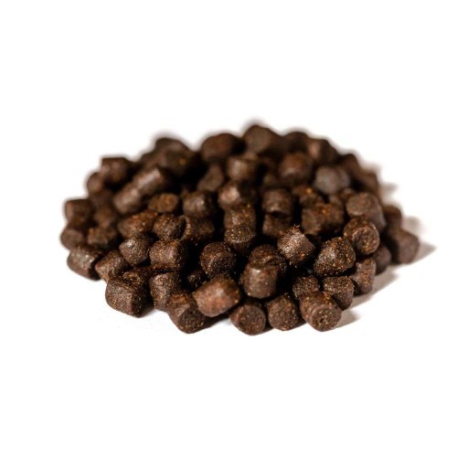 krokodyl1-578142