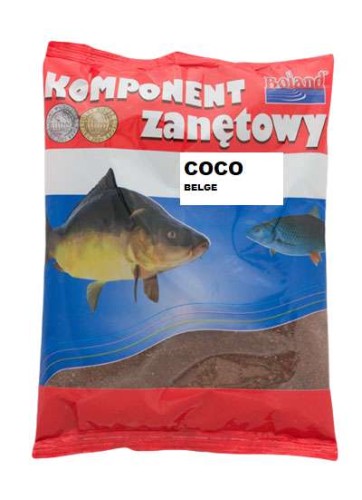 krokodyl1-578339