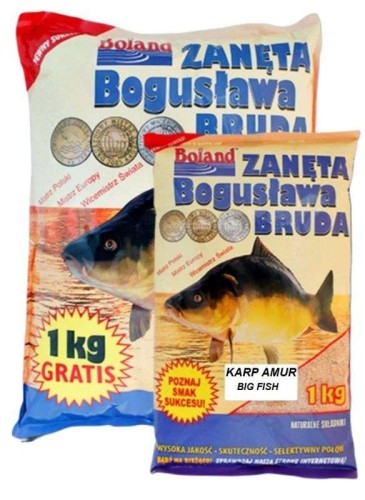 krokodyl1-578467