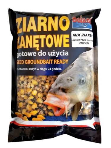 krokodyl1-578589