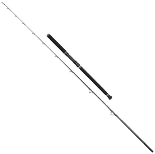 krokodyl1-579839