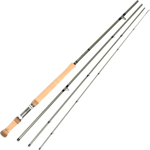 krokodyl1-579851