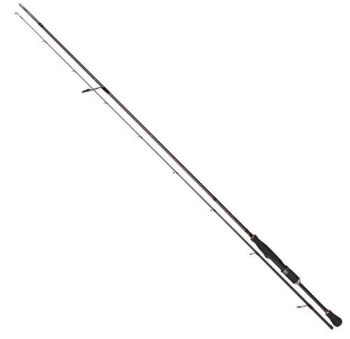krokodyl1-583748