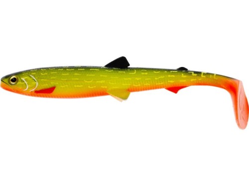 krokodyl1-585249