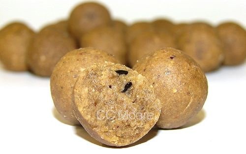 krokodyl1-589160