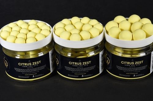 krokodyl1-589476