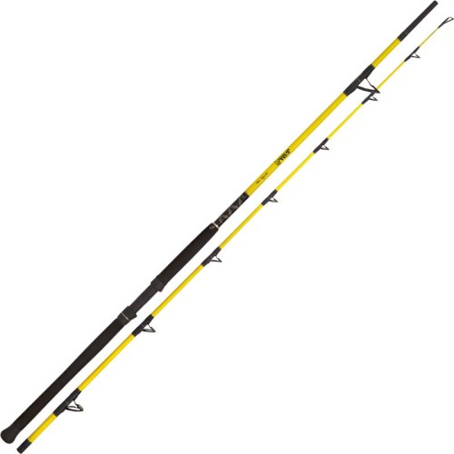 krokodyl1-593659