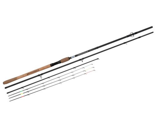 krokodyl1-602575