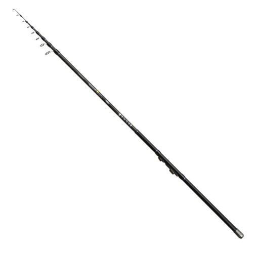 krokodyl1-604012