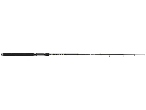 krokodyl1-604100