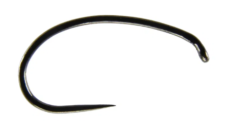 krokodyl1-609521