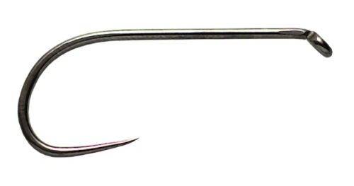 krokodyl1-609552